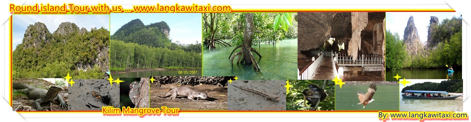 kilim mangrove tour 